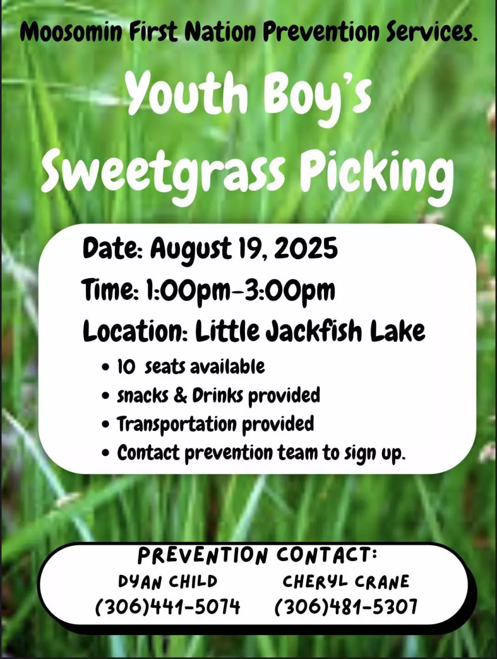 Moosomin Youth Sweetgrass Picking