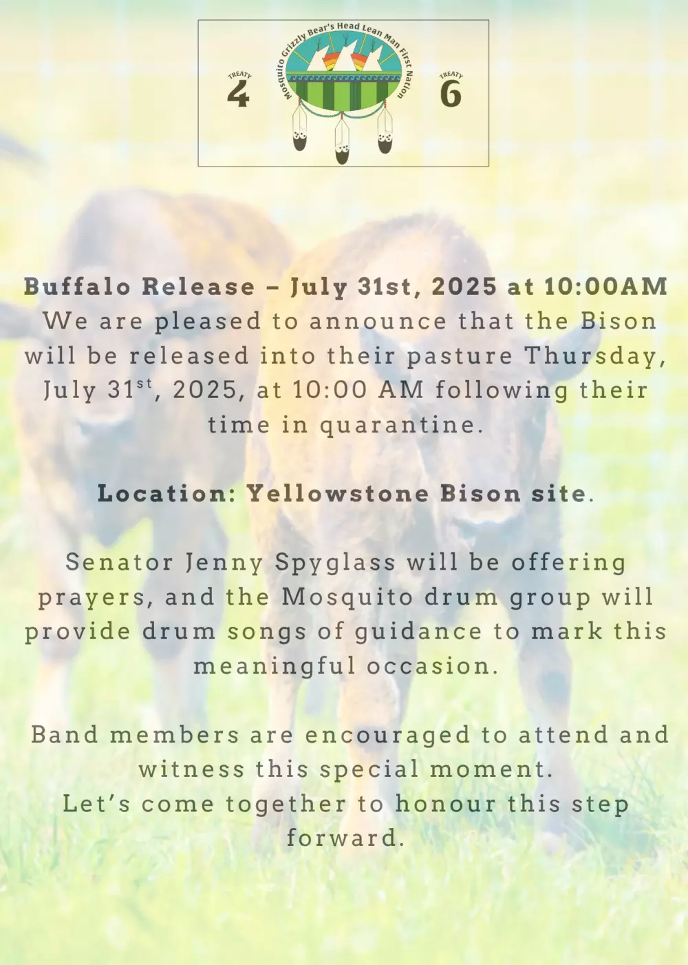Mosquito Grizzly Bear's Head Man Buffalo Release happening Thursday July 31st at 10am!